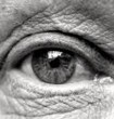 Speciális intraokuláris műlencsék időskori makula degenerációban szenvedő betegek látásminőségének javítására